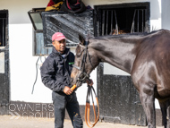 NH051025-28 - Ile de Jersey